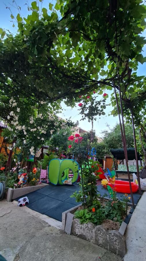 Garsoniera Cocheta Zona Coresi Mall Braşov Dış mekan fotoğraf